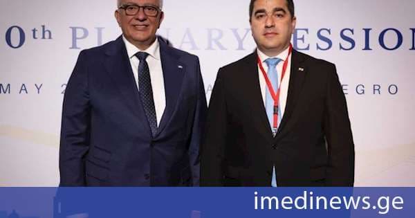 შალვა პაპუაშვილი მონტენეგროს პარლამენტის პრეზიდენტს შეხვდა