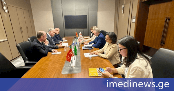 მიხეილ სარჯველაძემ მაკედონიაში ორმხრივი შეხვედრები გამართა
