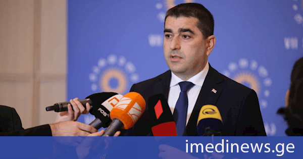შალვა პაპუაშვილი: რამდენჯერაც ვნახავთ ეკა გიგაურის მოსაზრებებს, იმდენჯერ უნდა მივხვდეთ, რა მავნებლობა აქვს ჩაფიქრებული რომელიღაც უცხოელს, ვინაიდან გამჟღავნებული რუპორები არიან