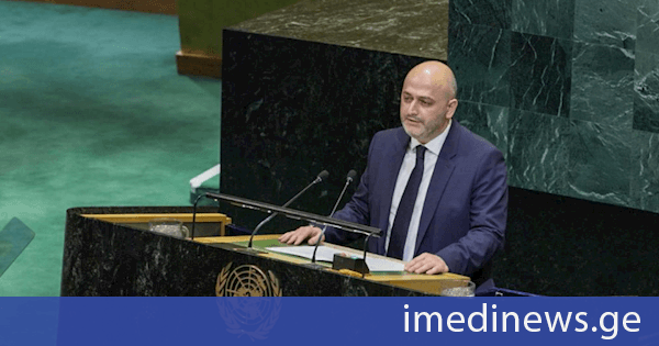 იუსტიციის მინისტრის მოადგილემ მიგრაციის საერთაშორისო ფორუმს მიგრაციის მართვის ქართული მოდელი გააცნო