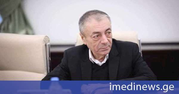 თენგიზ შარმანაშვილი გერმანიის ელჩზე: ყოველი ფეხის ნაბიჯზე აკეთებს იმას, რაც არის პირდაპირ საწინააღმდეგო ვენის კონვენციისა