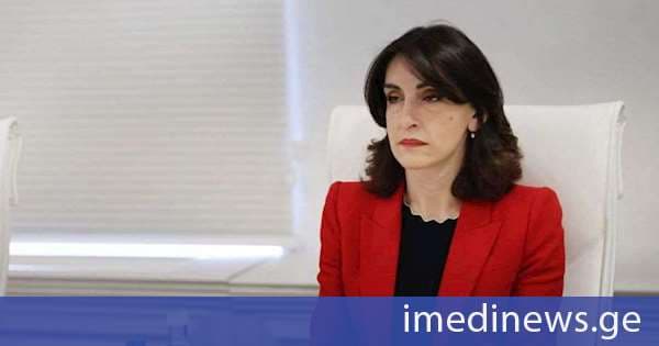 მაკა ბოჭორიშვილი: ლუქსემბურგის საგარეო საქმეთა მინისტრს, სხვა კოლეგებისგან განსხვავებით, ყოველთვის აქვს სურვილი, პირადად მოისმინოს ქართული მხარის პოზიციები, რასაც ნამდვილად ვაფასებთ