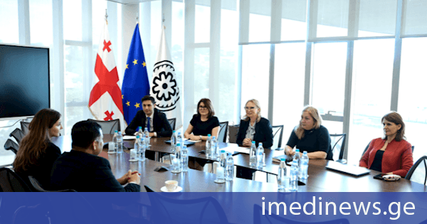 ნათია თურნავა ინდოეთის ახლად დანიშნულ ელჩს შეხვდა