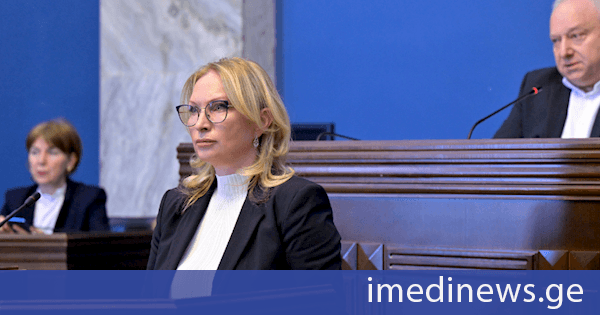 ნათია თურნავა: ინფლაციის დინამიკის განმსაზღვრელი მთავარი ფაქტორი გეოპოლიტიკური გაურკვევლობაა
