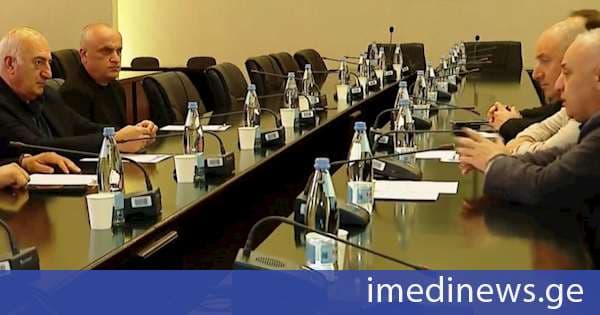 პარტია „ხალხის ძალა“ იმერეთის რეგიონში შეხვედრებს განაგრძობს
