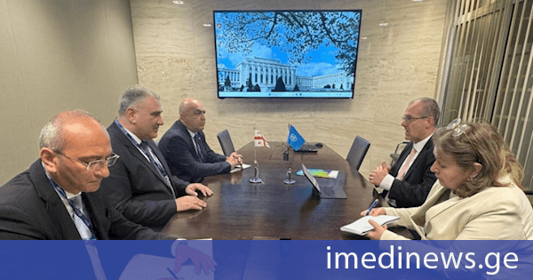 მიხეილ სარჯველაძე ჯანმრთელობის მსოფლიო ორგანიზაციის ევროპის რეგიონულ დირექტორს ჰანს კლუგეს შეხვდა