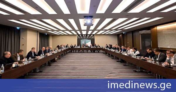 ნათია თურნავამ კომერციულ ბანკებთან გამართულ სამუშაო შეხვედრაში მიიღო მონაწილეობა
