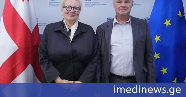ეკონომიკის მინისტრის მოადგილე გაეროს ევროპის ეკონომიკური კომისიის რეგიონულ მრჩეველს შეხვდა