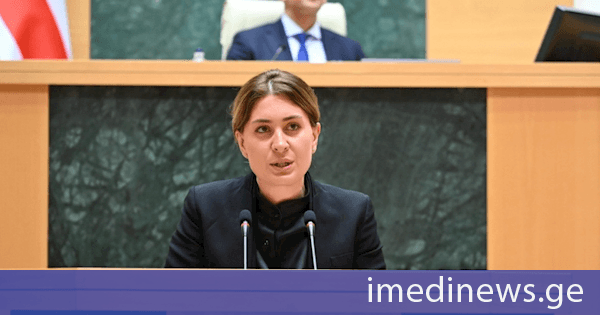 „საჰაერო კოდექსში“ ცვლილებათა პაკეტი პარლამენტმა პირველი მოსმენით მიიღო