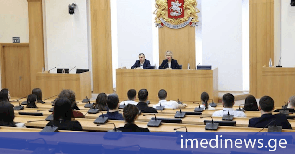 პარლამენტის თავმჯდომარის მოადგილე ნინო წილოსანი და აპარატის უფროსი კახა ოქროჯანაშვილი სტაჟიორებს შეხვდნენ