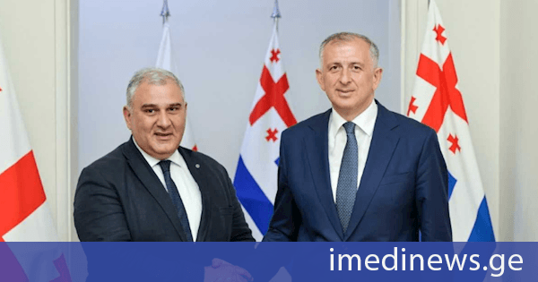 აჭარის მთავრობის თავმჯდომარესა და ჯანდაცვის მინისტრს შორის გაცნობითი ხასიათის შეხვედრა გაიმართა