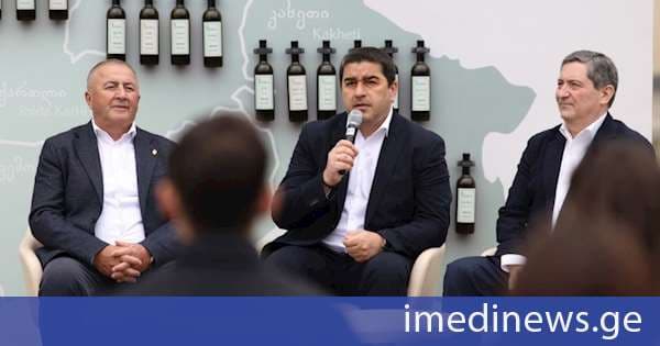 შალვა პაპუაშვილი დეპუტატებთან ერთად პარლამენტის აპარატის სტაჟიორებსა და სტუდენტური პარლამენტისა და მთავრობის წევრებს შეხვდა