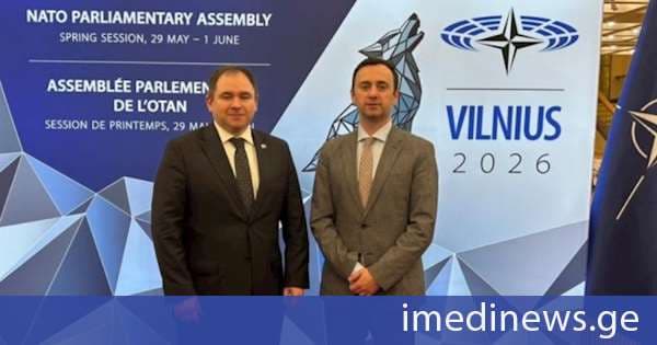 საქართველოს პარლამენტის მუდმივმოქმედი დელეგაცია, ნიკოლოზ სამხარაძის ხელმძღვანელობით, ნატო-ს საპარლამენტო ასამბლეის საგაზაფხულო სესიაში მონაწილეობს