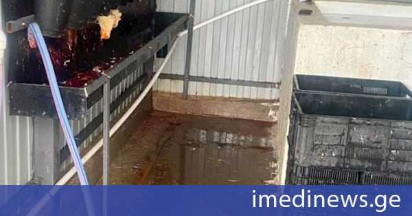 სურსათის უვნებლობის მოთხოვნების დარღვევით მოქმედი ფრინველთა სასაკლაო დაჯარიმდა და დაიხურა