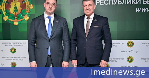 დავით სონღულაშვილი ბელარუსის რესპუბლიკის სატყეო მეურნეობის მინისტრს, ალექსანდრ კულიკს შეხვდა