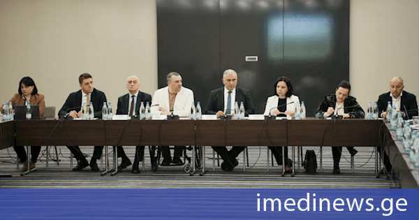 ჯანდაცვის მინისტრის ხელმძღვანელობით პირველი სამუშაო სხდომა გამართა საკოორდინაციო საბჭომ, რომელიც შეზღუდული შესაძლებლობის სტატუსის ბიოფსიქოსოციალური მოდელის დანერგვის ხელშეწყობის მიზნით შეიქმნა