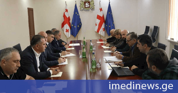 სამეგრელოს, გურიისა და იმერეთის რეგიონებში პატრონიანი ძაღლების სტერილიზაციისა და ჩიპირების პროცესის ორგანიზაციული საკითხები განიხილეს