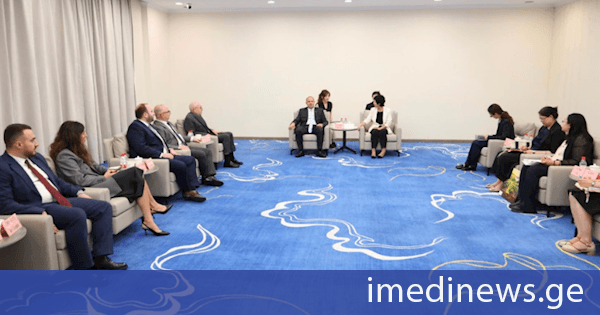 გივი მიქანაძე ჩინეთის საერთაშორისო ახალგაზრდული გაცვლითი ცენტრის ხელმძღვანელობას შეხვდა