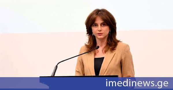 მაია ბითაძემ საქართველოში კლიმატის ცვლილებასთან ადაპტაციის ეროვნული გეგმის (NAP) შემუშავების პროცესის ოფიციალურად გახსნის ღონისძიებაში მიიღო მონაწილეობა