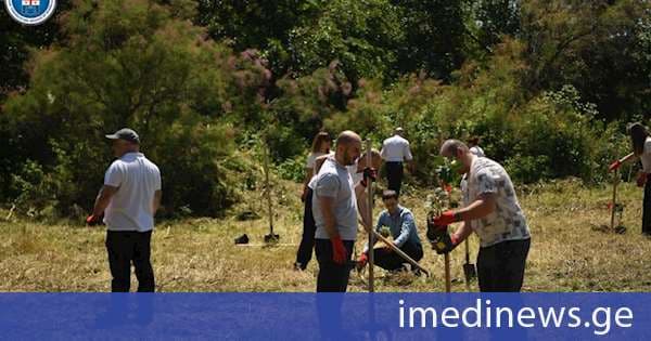 ქვემო ქართლის საოლქო პროკურატურის თანამშრომლებმა რუსთავის ჭალის ტყის გამწვანების აქციაში მიიღეს მონაწილეობა