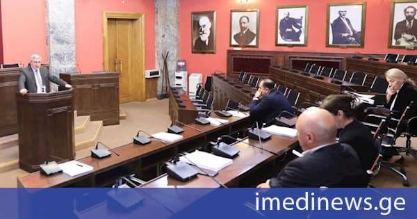 ადამიანის უფლებათა დაცვისა და სამოქალაქო ინტეგრაციის კომიტეტმა საქართველოს 2025 წლის სახელმწიფო ბიუჯეტის შესრულების წლიური ანგარიში მოისმინა