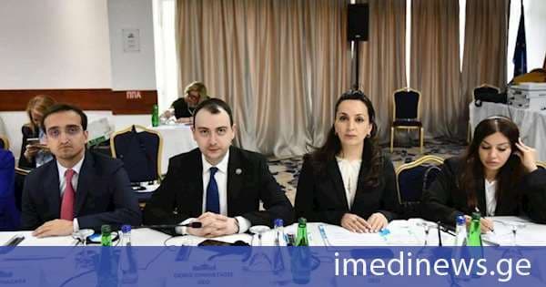 თორნიკე ფაღავა: ჩვენი სახელმწიფო მნიშვნელოვან სატრანსპორტო, ციფრულ და ენერგეტიკულ დერეფანს წარმოადგენს, რითაც მას წვლილი შეაქვს ევროპის დაკავშირებადობაში, ენერგოუსაფრთხოებასა და ეკონომიკურ მედეგობაში. საქართველო ევროპული უსაფრთხოების არა მხოლოდ ბენეფიციარი, არამედ მისი აქტიური კონტრიბუტორიცაა
