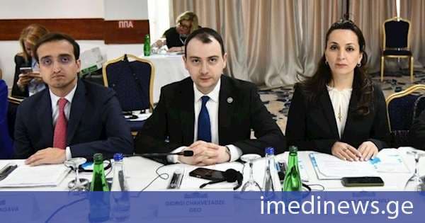 საქართველოს პარლამენტის დელეგაცია COSAP-ის კონფერენციაში მონაწილეობდა