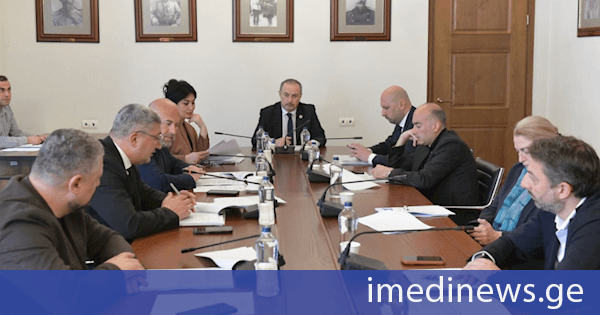 თავდაცვისა და უსაფრთხოების კომიტეტმა საქართველოს 2025 წლის სახელმწიფო ბიუჯეტის შესრულების წლიური ანგარიში ცნობად მიიღო