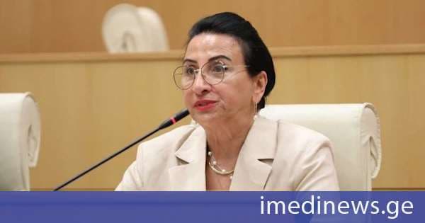 რიმა ბერაძე ოპოზიციაზე: მათ ვერ მოიპოვეს მთავარი - ხალხის ნდობა და პატივისცემა იმიტომ, რომ არ უყვართ საკუთარი ერი და ქვეყანა