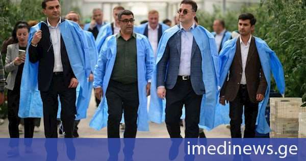 დავით სონღულაშვილი მარნეულში სახელმწიფო მხარდაჭერით შექმნილ სასათბურე მეურნეობის საქმიანობას გაეცნო