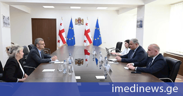 მიხეილ სარჯველაძე გლობალური ფონდის რეგიონული პროგრამების დირექტორ დუმიტრუ ლატიჩევსკის შეხვდა