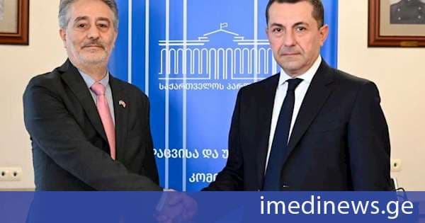 ალექსანდრე ტაბატაძე ისრაელის საგანგებო და სრულუფლებიან ელჩს შეხვდა