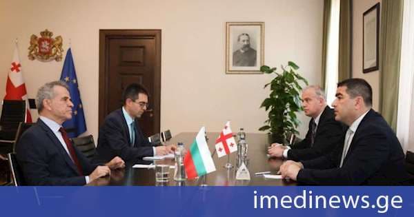 შალვა პაპუაშვილმა ბულგარეთის ელჩთან გამოსამშვიდობებელი შეხვედრა გამართა