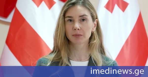 თინა ბოკუჩავა სააკაშვილის განცხადებაზე: მოულოდნელი იყო და მიმაჩნია, რომ სწორედ ამგვარმა იმპულსურმა და არათანმიმდევრულმა გადაწყვეტილებებმა მიგვიყვანა იქამდე, სადაც ვართ