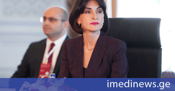 მაკა ბოჭორიშვილი: ძალიან მიჭირს წარმოვიდგინო თურქეთი ევროკავშირის წევრ ქვეყნად რაიმე უფლების გარეშე, ან შეზღუდული უფლებებით. არამხოლოდ თურქეთი, ძნელად წარმომიდგენია დასავლეთ ბალკანეთის ბევრი ქვეყანაც
