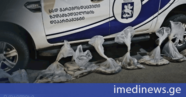 გარემოსდაცვითი ზედამხედველობის დეპარტამენტმა თბილისში ბრაკონიერობის ფაქტი გამოავლინა