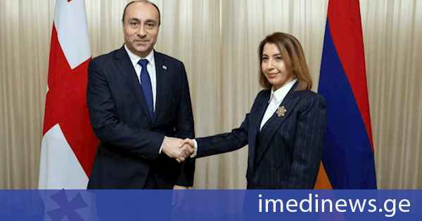 გეკა გელაძემ სომხეთის რესპუბლიკის საგარეო დაზვერვის სამსახურის უფროსთან ქრისტინე გრიგორიანთან შეხვედრა გამართა