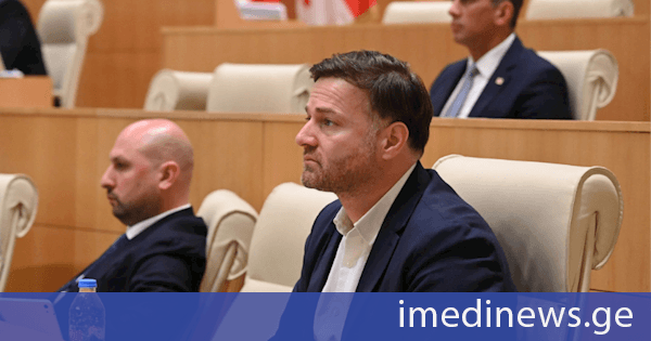ირაკლი ჭეიშვილი: ის, რომ გვაკრიტიკებენ, თითქოს ყაზახეთთან ურთიერთობის გაღრმავებით ჩვენ ვშორდებით ევროპას, ასეთი კომენტარების გაკეთება მხოლოდ ჩვენი ქვეყნის მტრებს შეუძლიათ. შუა აზიის ქვეყნებში ყაზახეთი ითვლება ეკონომიკურად ლიდერ ქვეყნად. ჩვენ გვაქვს ძლიერი ეკონომიკური ურთიერთობები ყაზახეთთან