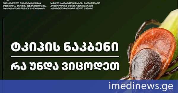 როგორ დავიცვათ თავი ტკიპებისგან - სპეციალისტების რეკომენდაციები