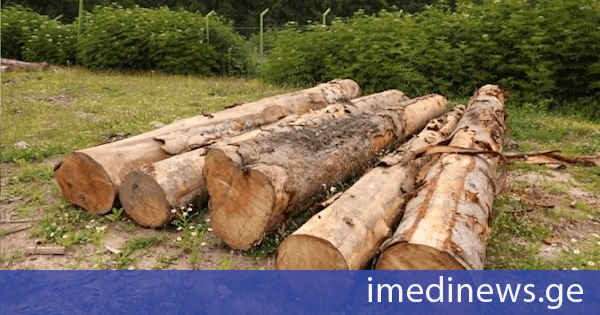 ბესიკ ამირანაშვილი: ყოველ გამოვლენილ სამართალდარღვევაზე გატარდება კანონმდებლობით გათვალსიწინებული მკაცრი სანქციები