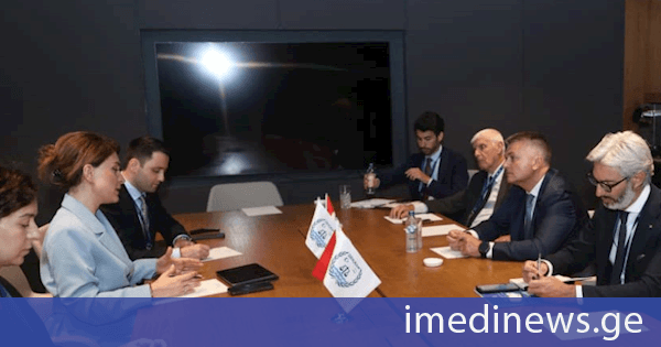 თამარ იოსელიანი იტალიის ინფრასტრუქტურისა და ტრანსპორტის მინისტრის მოადგილეს შეხვდა