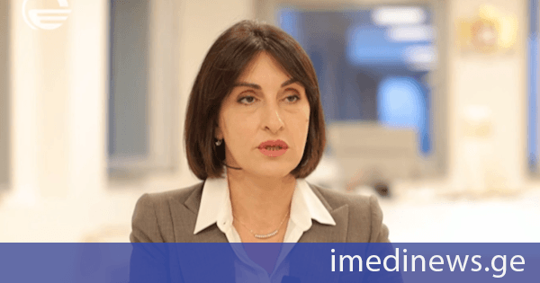 მაკა ბოჭორიშვილი: ჩინეთი მნიშვნელოვანი მოთამაშეა დღევანდელ მსოფლიოში და ჩვენს ინტერესშია, გვქონდეს კარგი ურთიერთობა და განვითარებული კავშირები ჩინეთთან