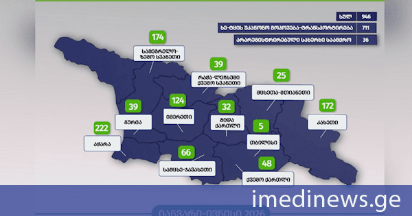 გარემოსდაცვითი ზედამხედველობის დეპარტამენტმა 6 თვეში უკანონო ტყითსარგებლობის 946 ფაქტი გამოავლინა