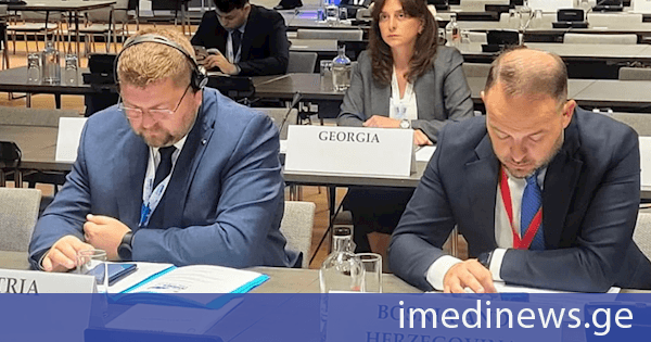 მაია ბითაძე ეუთო-ს საპარლამენტო ასამბლეის ფარგლებში გამართულ ეკონომიკურ საკითხთა, მეცნიერების, ტექნოლოგიებისა და გარემოს დაცვის კომიტეტის სხდომაზე სიტყვით გამოვიდა