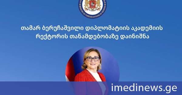 დიპლომატიის აკადემიის რექტორის თანამდებობაზე თამარ ბერუჩაშვილი დაინიშნა