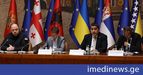 შალვა პაპუაშვილი: არცერთ კანდიდატ ქვეყანას არ შეუძლია გაუმკლავდეს ევროკავშირის წევრი ქვეყნის ამგვარ ასიმეტრიულ ძალაუფლებას. ამიტომ, ამ გაუმართლებელი დაბრკოლებების გადალახვაში ჩვენ ერთმანეთს გვერდში უნდა დავუდგეთ