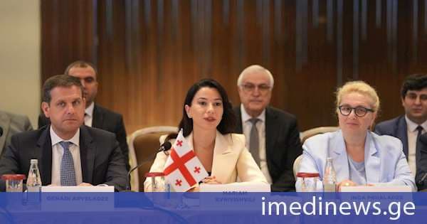 მარიამ ქვრივიშვილი: შავი ზღვის წყალქვეშა კაბელი ჩვენი ქვეყნისთვის ეროვნული მნიშვნელობის პროექტია, რომელიც ქართული ინიციატივაა და მისი განვითარება ძალიან აქტიურ ფაზაში მიმდინარეობს