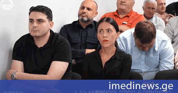 სააკაშვილის დაანონსებული რეფორმა „ნაციონალურ მოძრაობაში“ - როგორ ანაწილებს როლებს მსჯავრდებული. „ქრონიკის“ სიუჟეტი