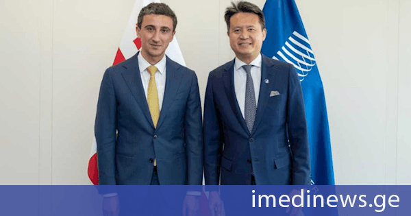 სოსო გიორგაძე ინტელექტუალური საკუთრების მსოფლიო ორგანიზაციის (WIPO) გენერალურ დირექტორს დარენ ტანგს შეხვდა