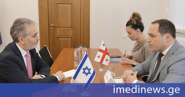 გიორგი გაბუნია საქართველოში ისრაელის საგანგებო და სრულუფლებიან ელჩს შეხვდა